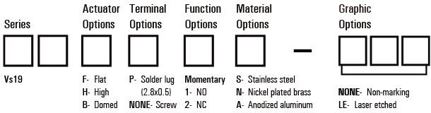 Vs19 Anti vandal switch